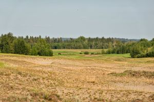 Wolf Creek (Links) 11th